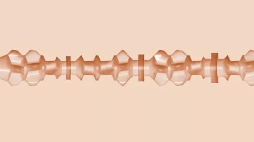 Fleshjack Boys Cade Maddox Alpha