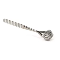 Five Row Wartenberg Pinwheel Silver