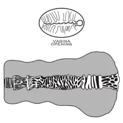 Ilyennel nem sokat dugtak Alien's pie maszturbátor 2 fekete