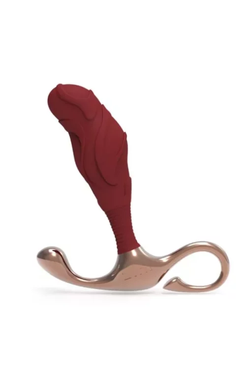 Zini Janus Lamp Iron Prostate Massager L_B0O25_4